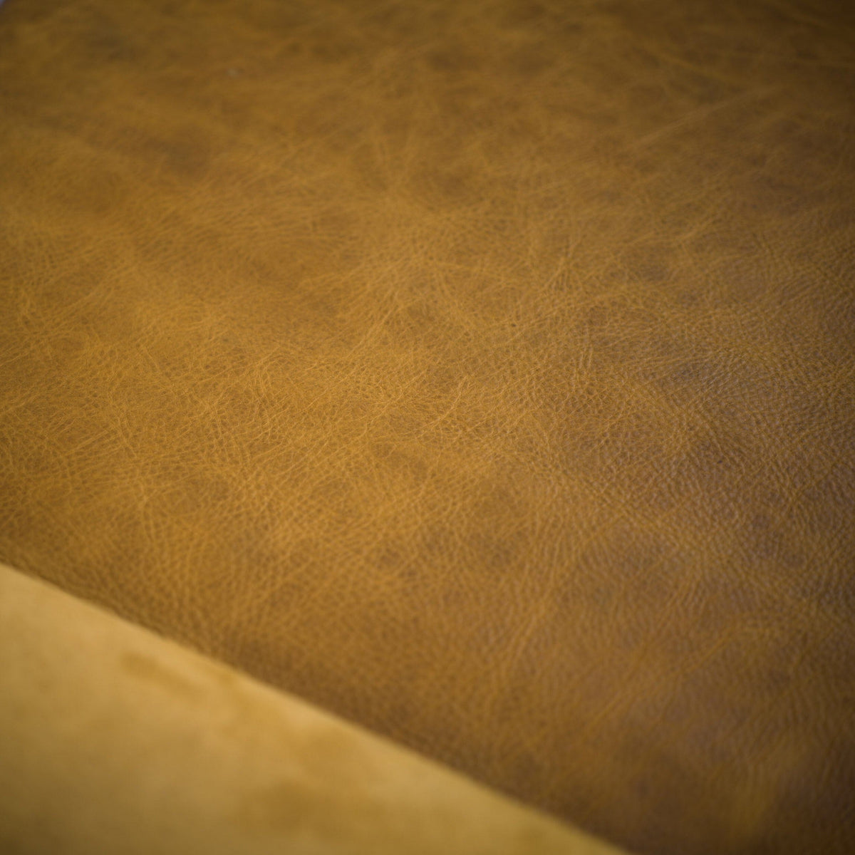 Amber Bison Limited Edition Color Upgrade - Final Sale Color