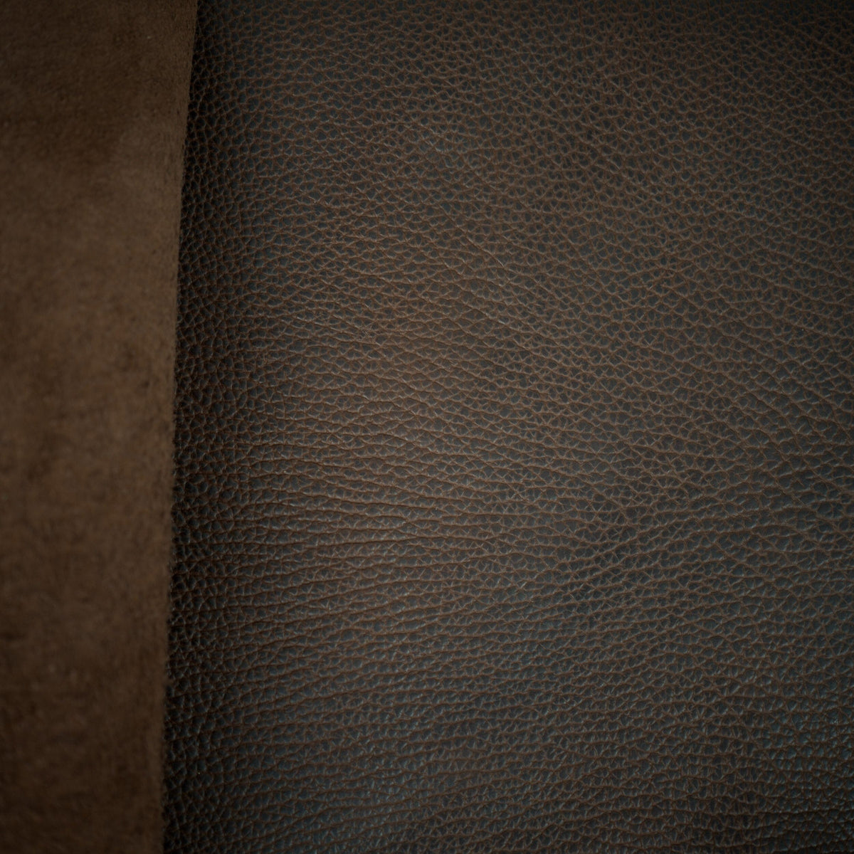 Chocolate Shrunken Bison Limited Edition Color Upgrade - Final Sale