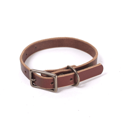 CHARLIE LEATHER DOG COLLAR