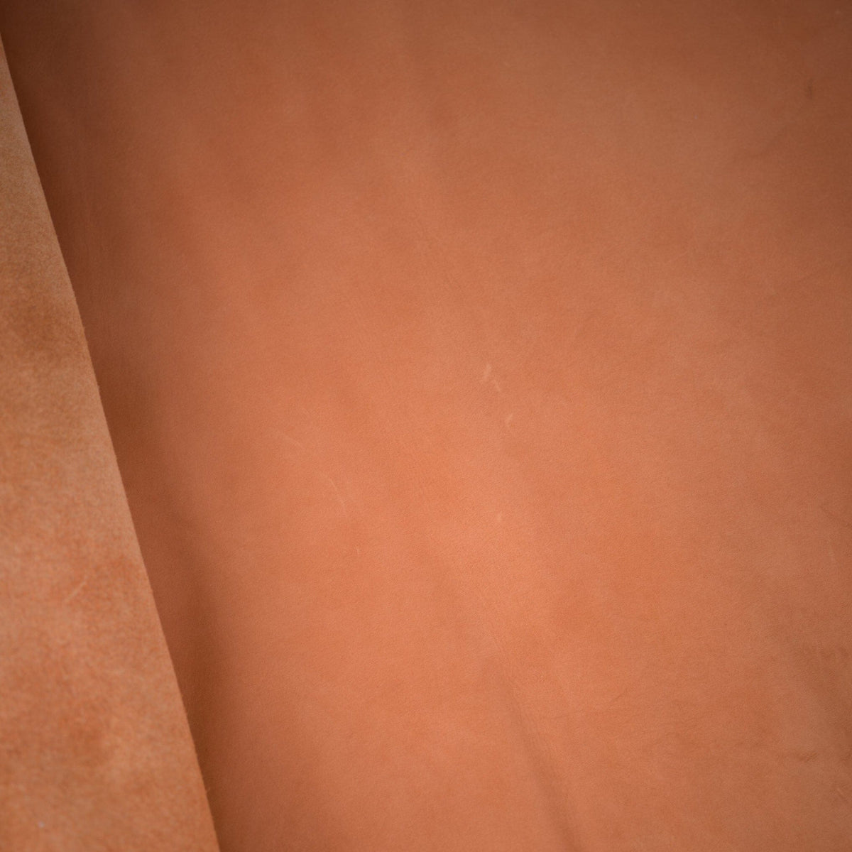 Pumpkin Limited Edition Color Upgrade - Final Sale