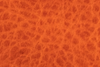 Tangerine Bison